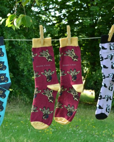 bare-kind-UXABOKfTP2w-unsplash